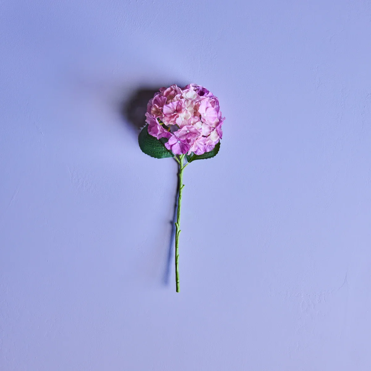 Miniaturebillede 2